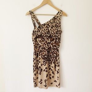 Diane Von Furstenberg 100% Silk Nomie Dress